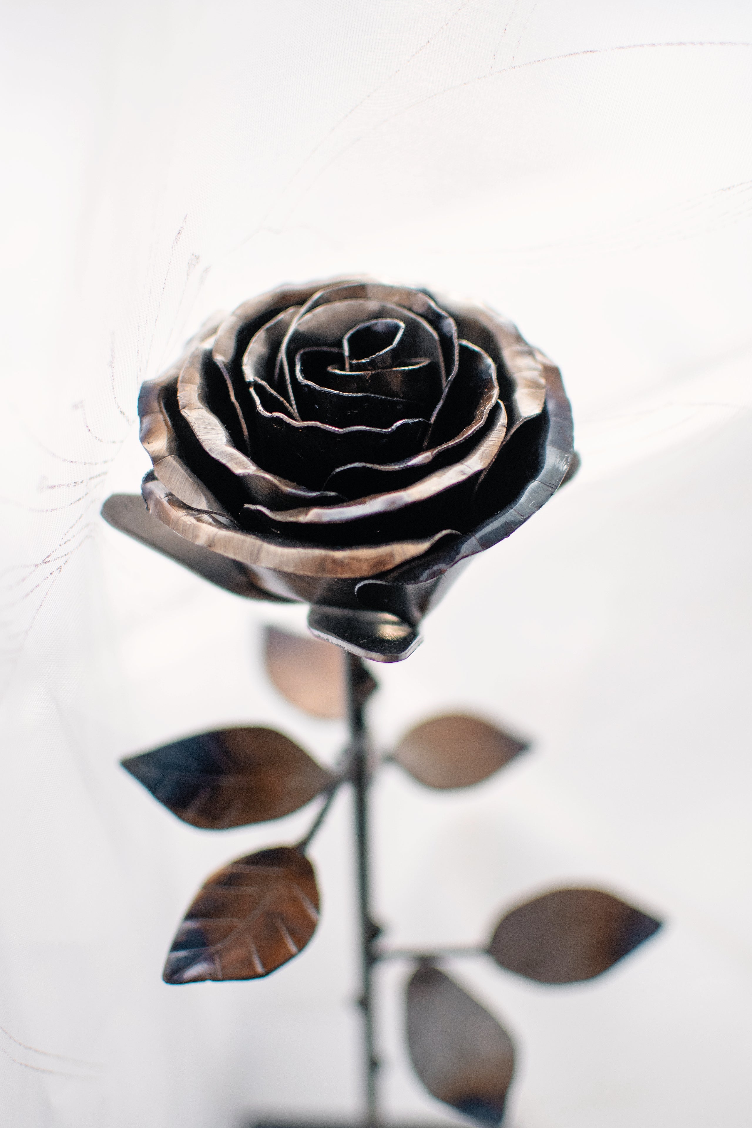Metal Rose Classic